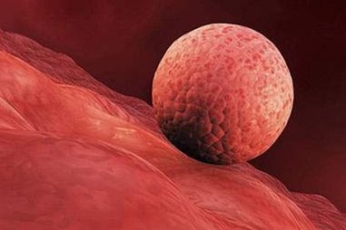 北京试管医院冷保存子有条件，1分钟了解冷保存子的过程