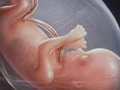 深圳正规助孕机构大盘点，三大权威助孕公司哪家强？