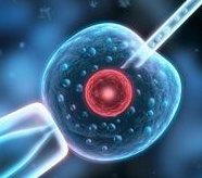 如何快速找到吉尔吉斯斯坦最优质的三代试管医院，详细指南与建议