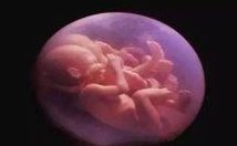 山东潍坊助孕中心-潍坊市十大助孕机构