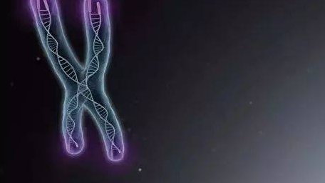 上海试管婴儿需花费10万？附成功率解答