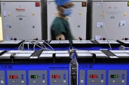 沈阳正规三代试管助孕公司名单，沈阳正规助孕机构排名参考